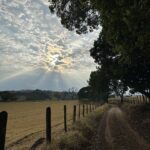 gallery grid image